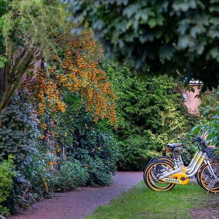 O. W. Jodelka 3* ウェバ